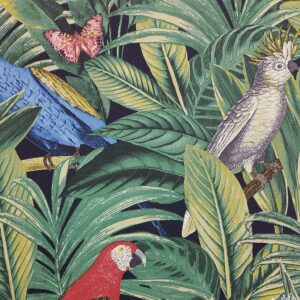 Papel de Parede Natureza Aves